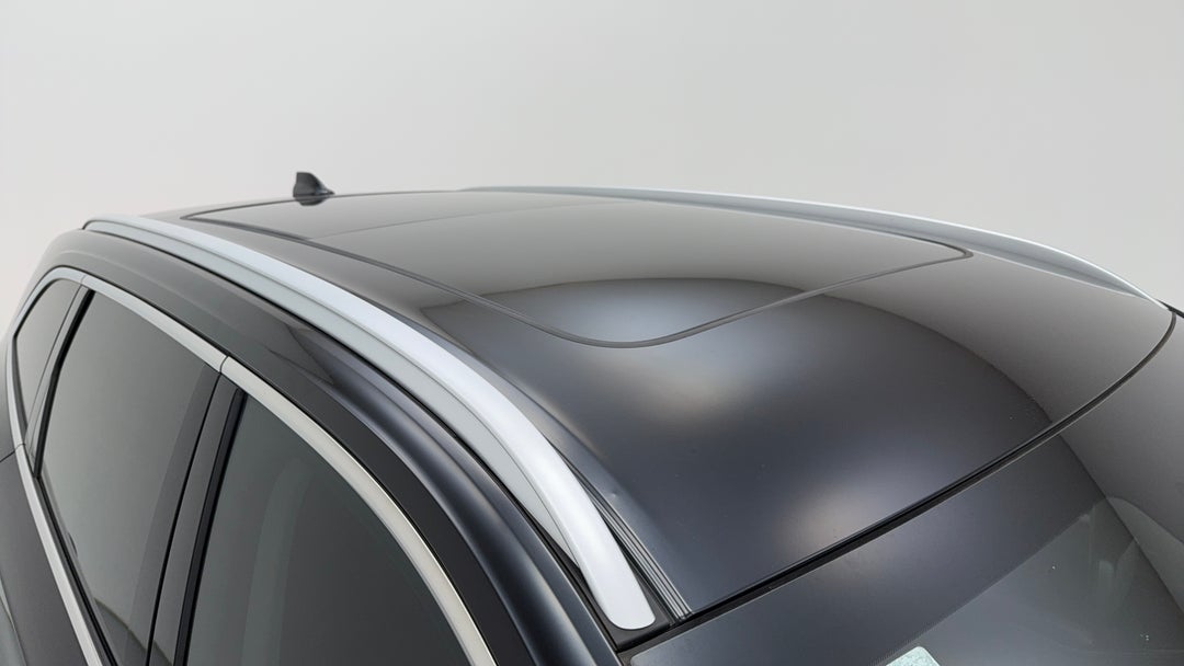 Roof/Sunroof View