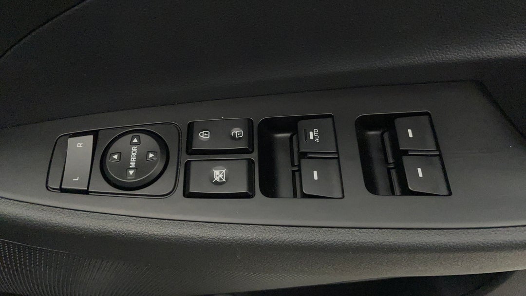Drivers Side Door Panel Controls
