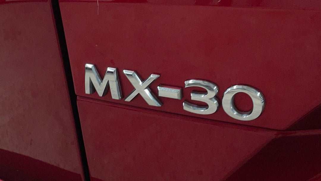 Badge (Boot Left Side)