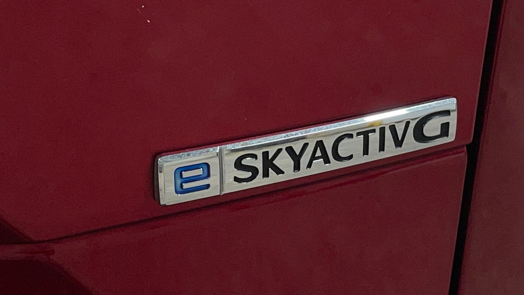 Badge (Boot Right Side)