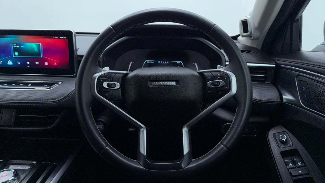 Steering Wheel Close-up