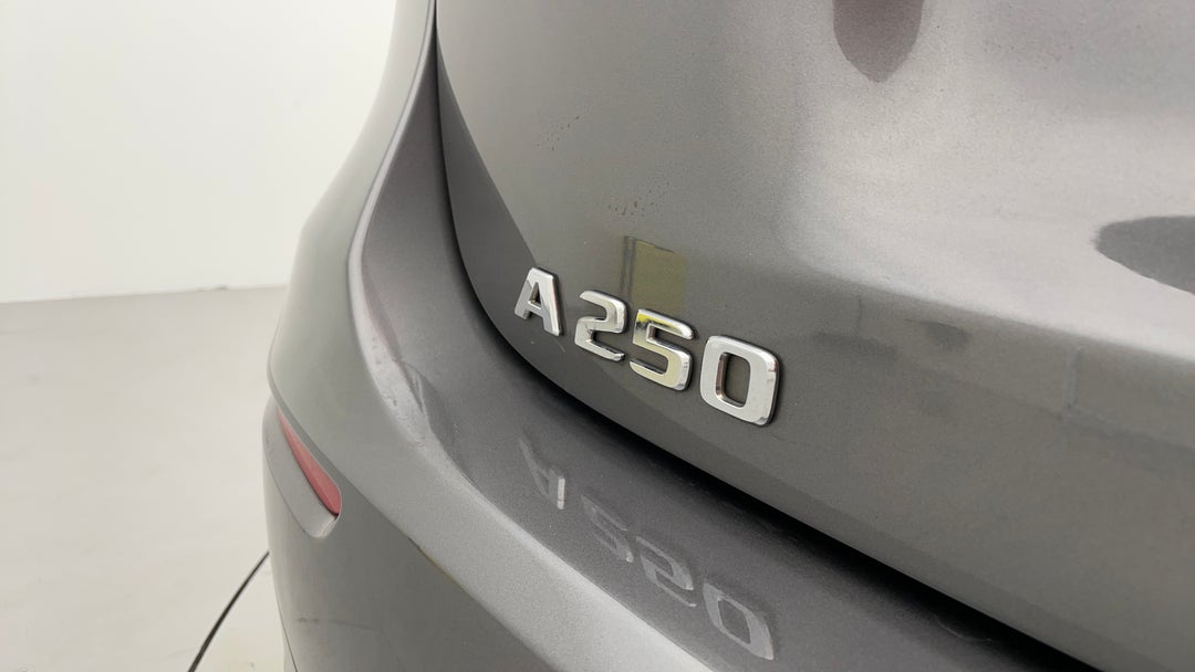 Badge (Boot Left Side)