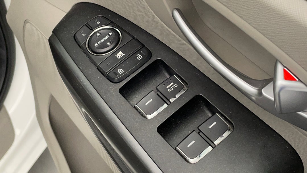 Drivers Side Door Panel Controls