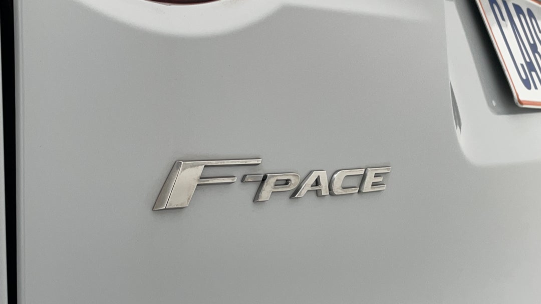 Badge (Boot Left Side)