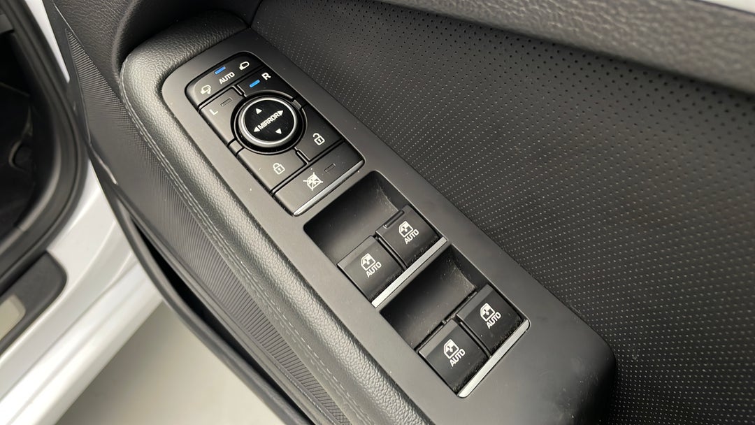 Drivers Side Door Panel Controls