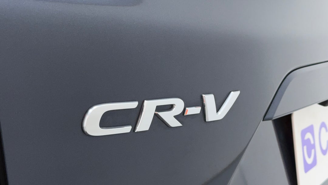 Badge (Boot Left Side)