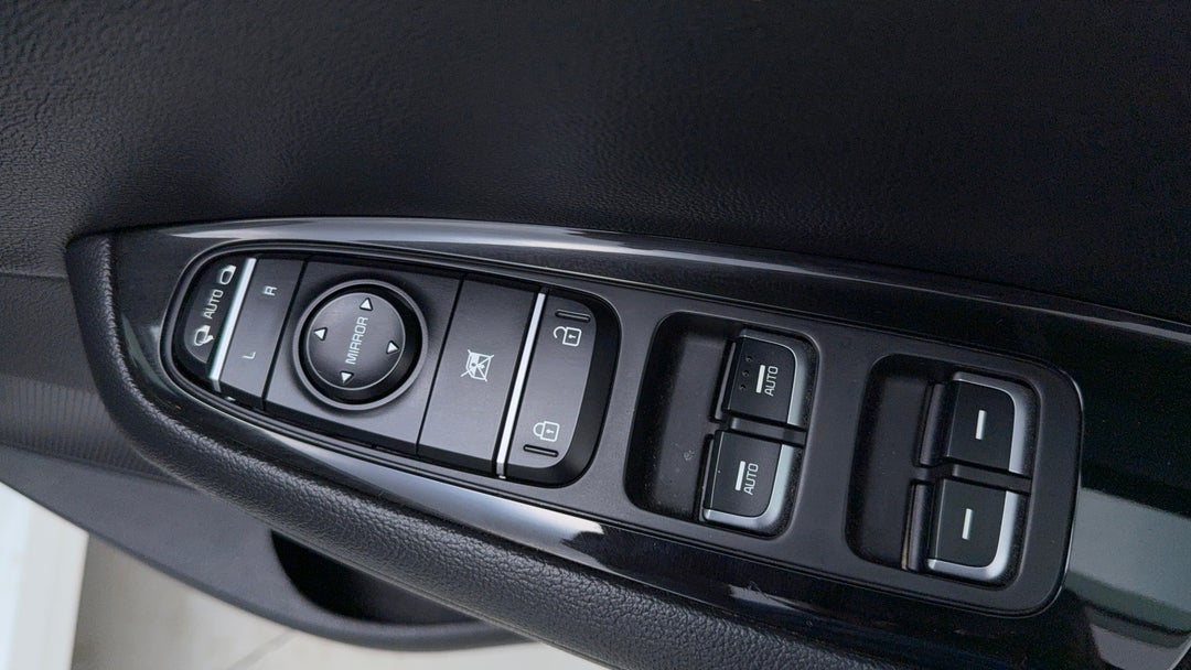 Drivers Side Door Panel Controls