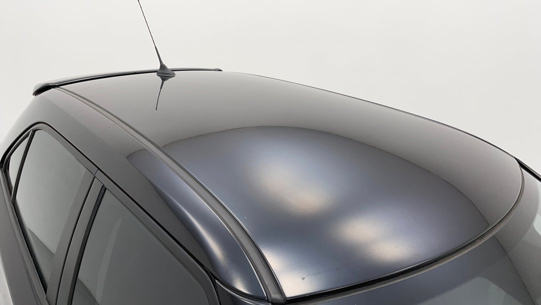 Roof/Sunroof View