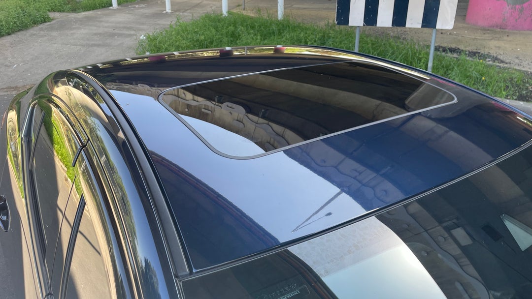 Roof/Sunroof View