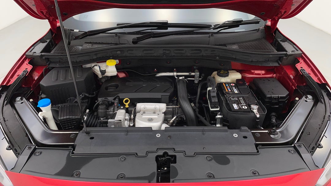 Open Bonnet (Engine)