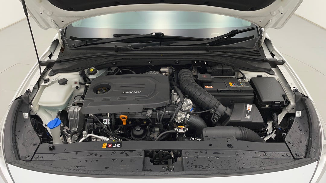 Open Bonnet (Engine)