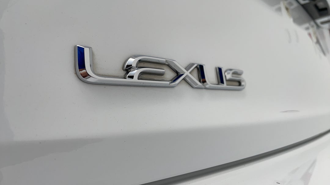 Badge (Boot Left Side)