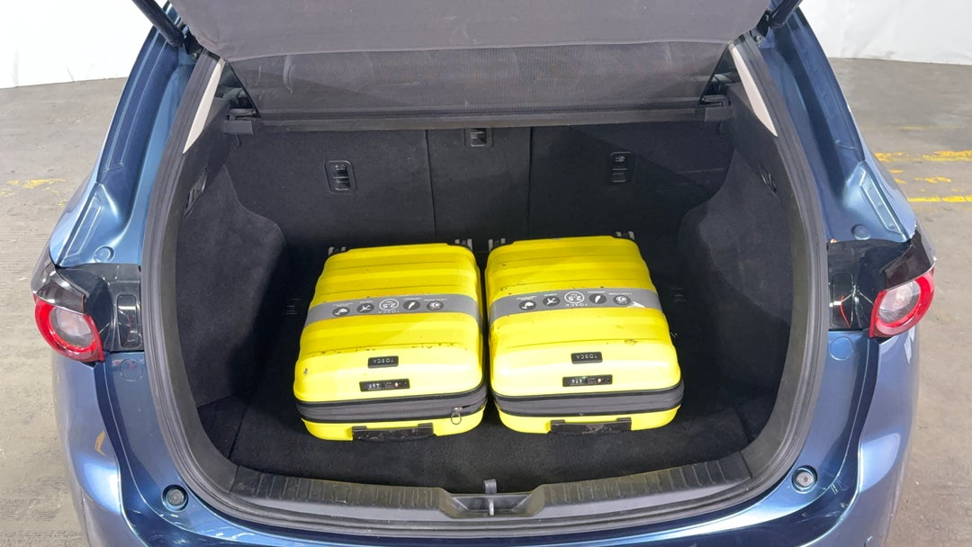 Boot Inside View with Luggage