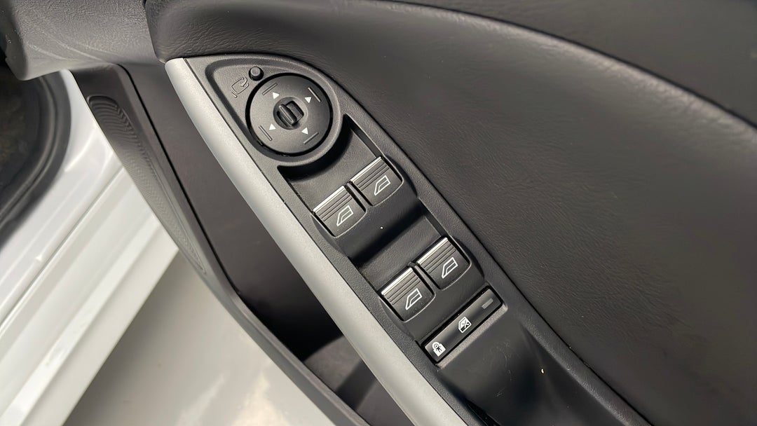 Drivers Side Door Panel Controls