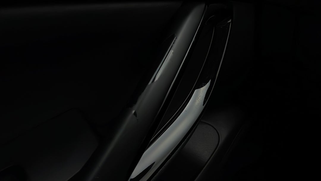 Door Handles Front LHS Scratch