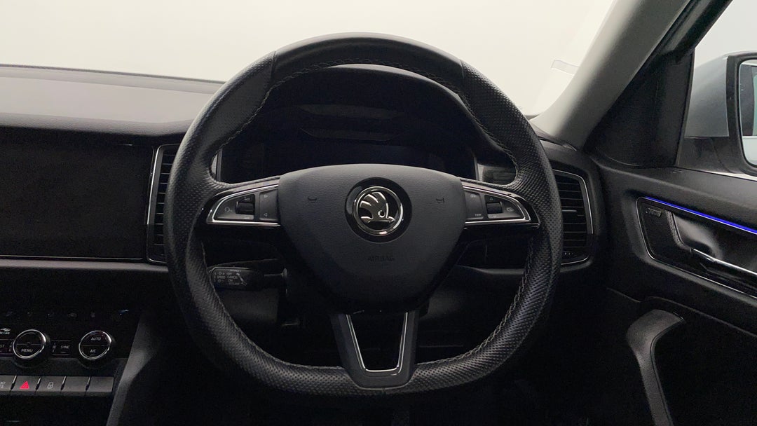 Steering Wheel Close-up