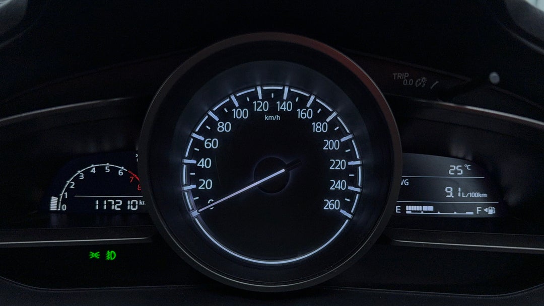 Odometer View