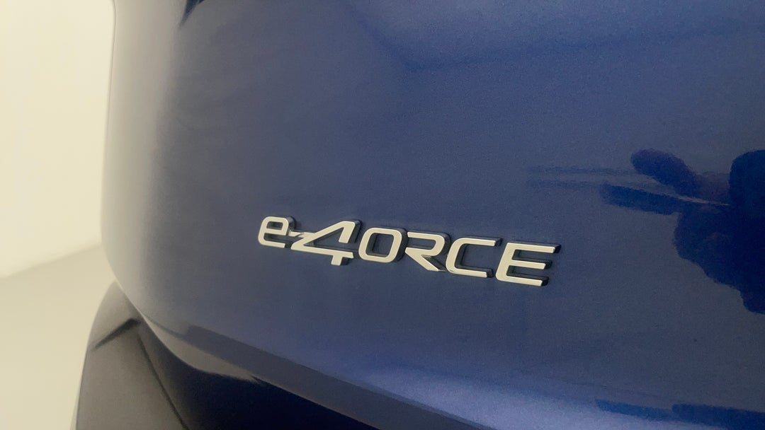 Badge (Boot Left Side)