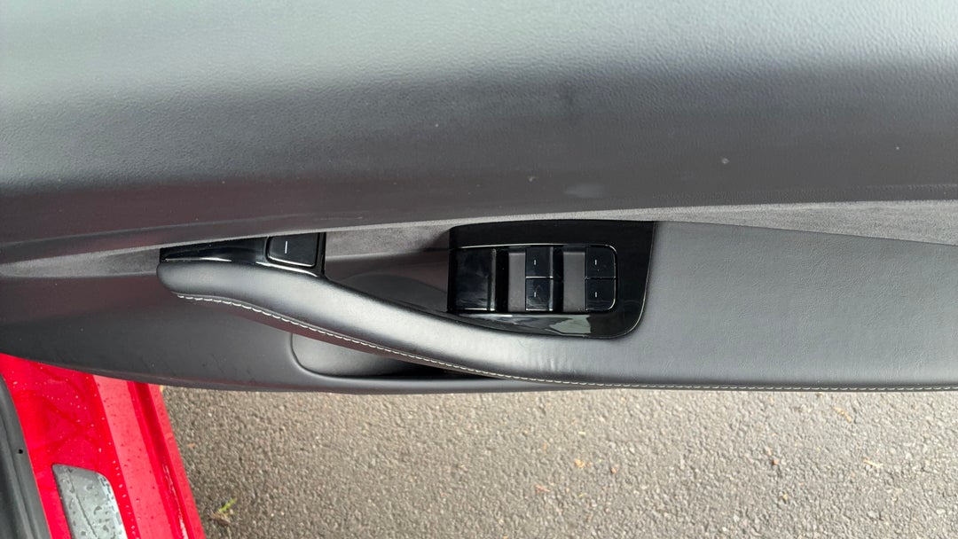 Drivers Side Door Panel Controls