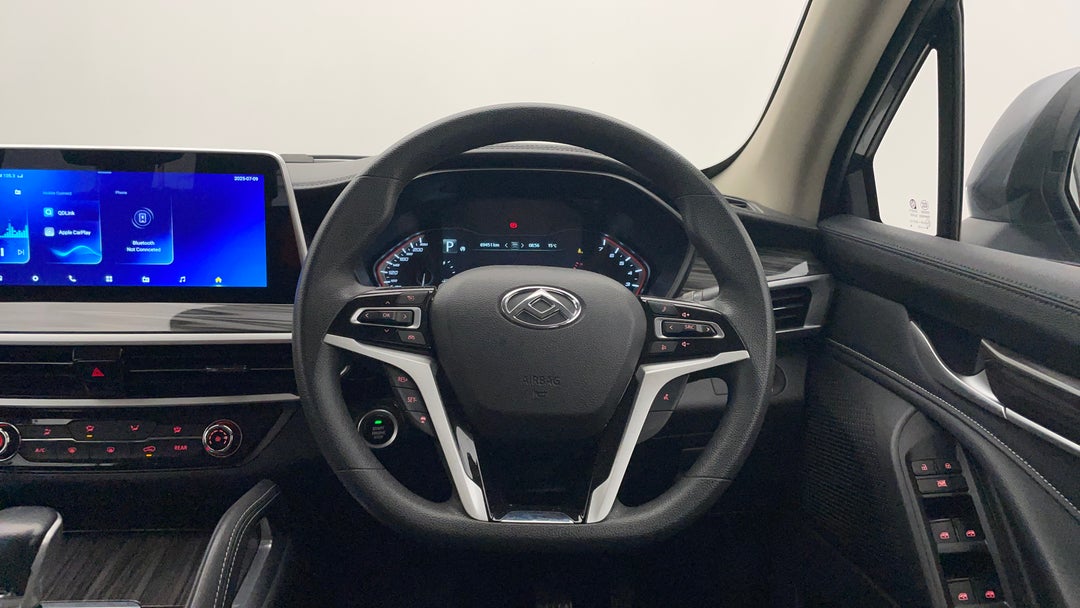 Steering Wheel Close-up