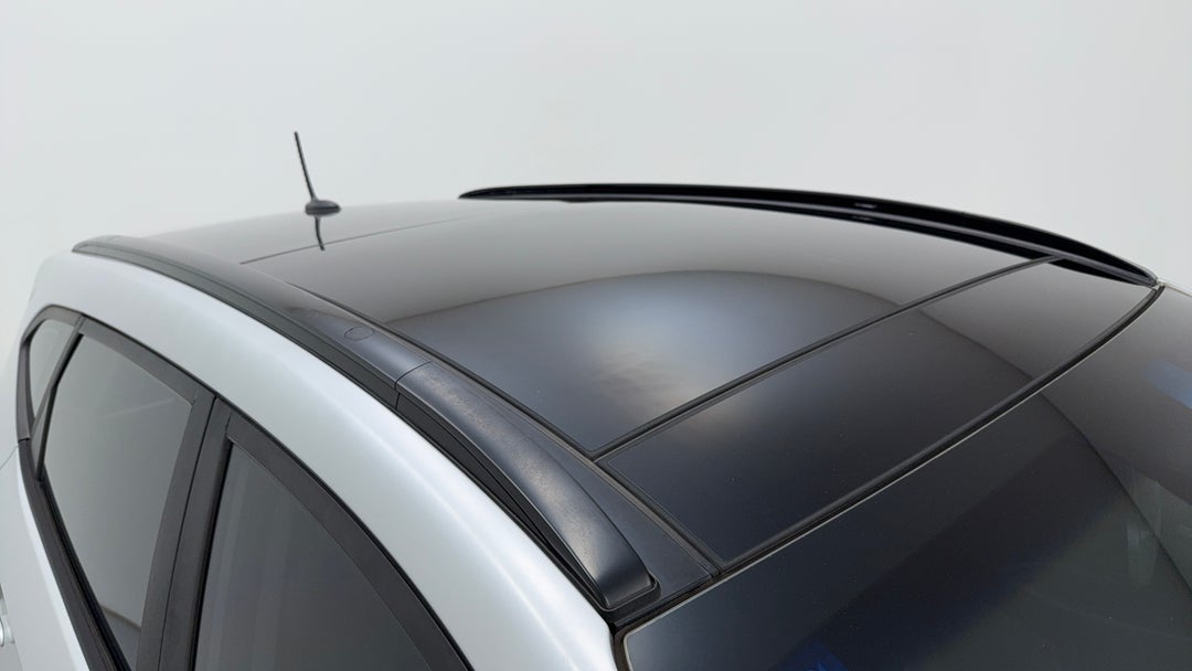 Roof/Sunroof View