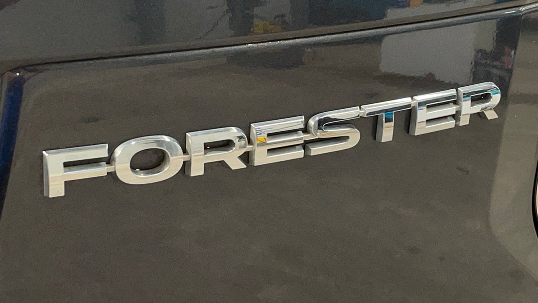 Badge (Boot Right Side)