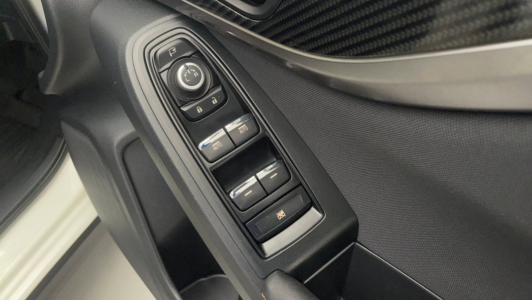 Drivers Side Door Panel Controls