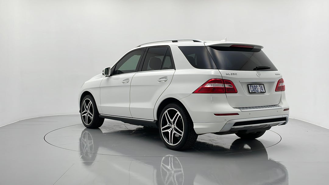 Left Back Diagonal (45- Degree) View