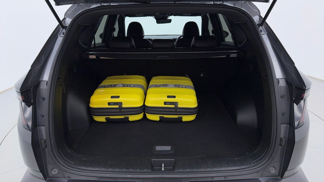 Boot Inside View with Luggage