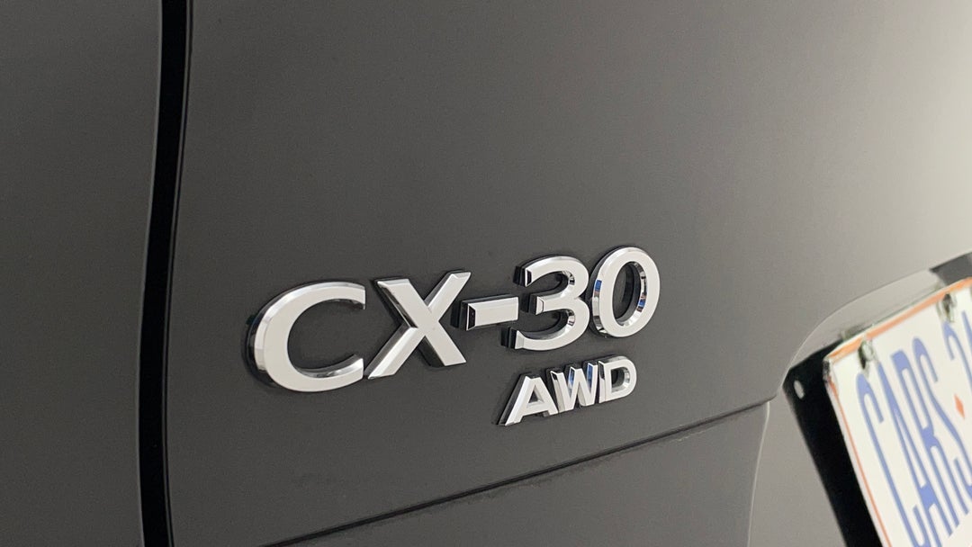 Badge (Boot Left Side)