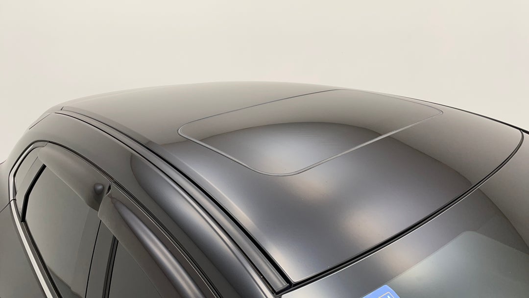 Roof/Sunroof View