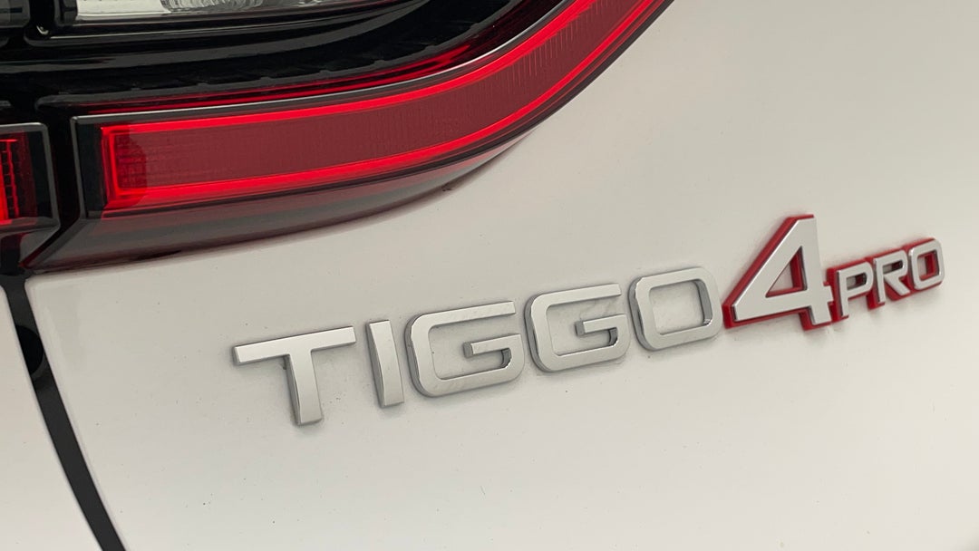 Badge (Boot Left Side)