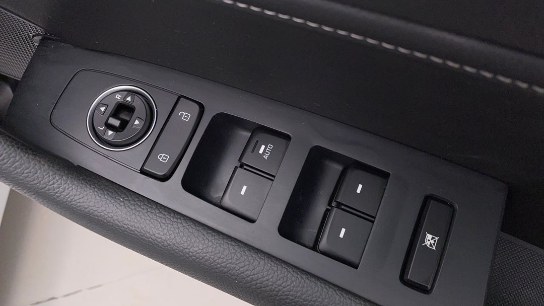 Drivers Side Door Panel Controls
