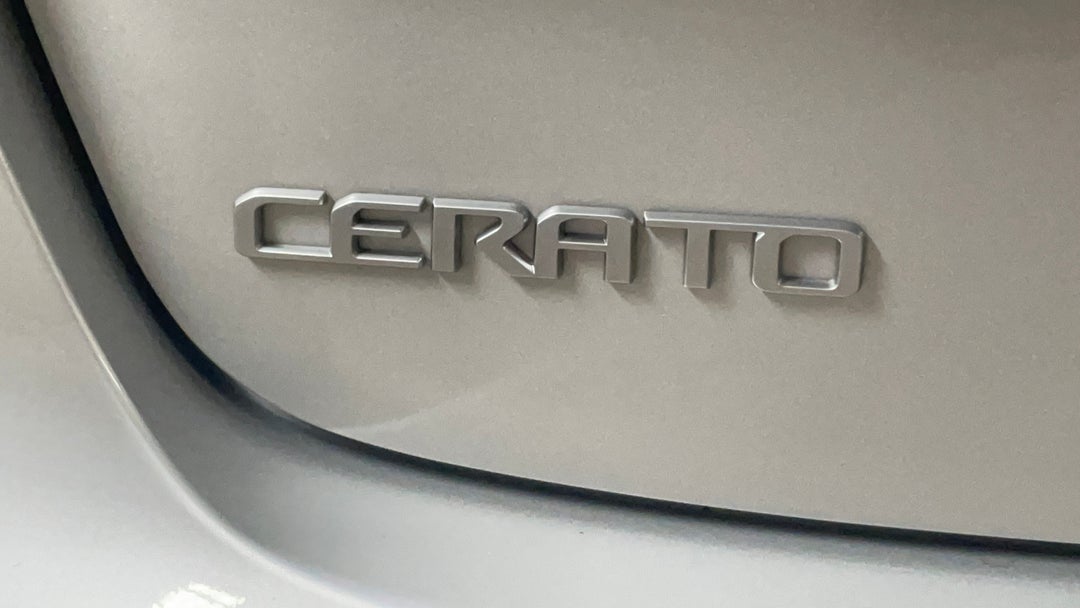 Badge (Boot Left Side)