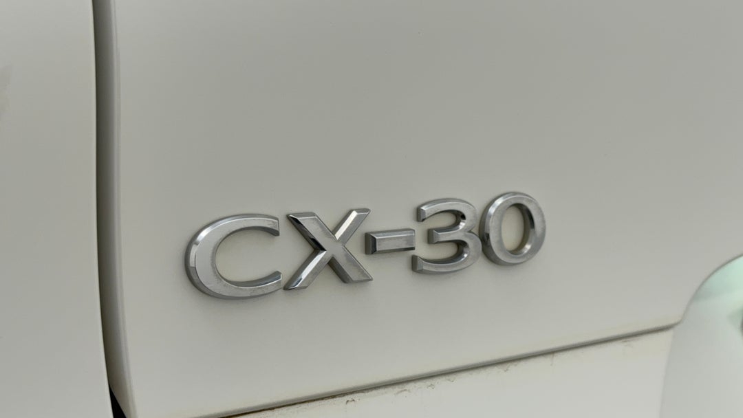 Badge (Boot Left Side)