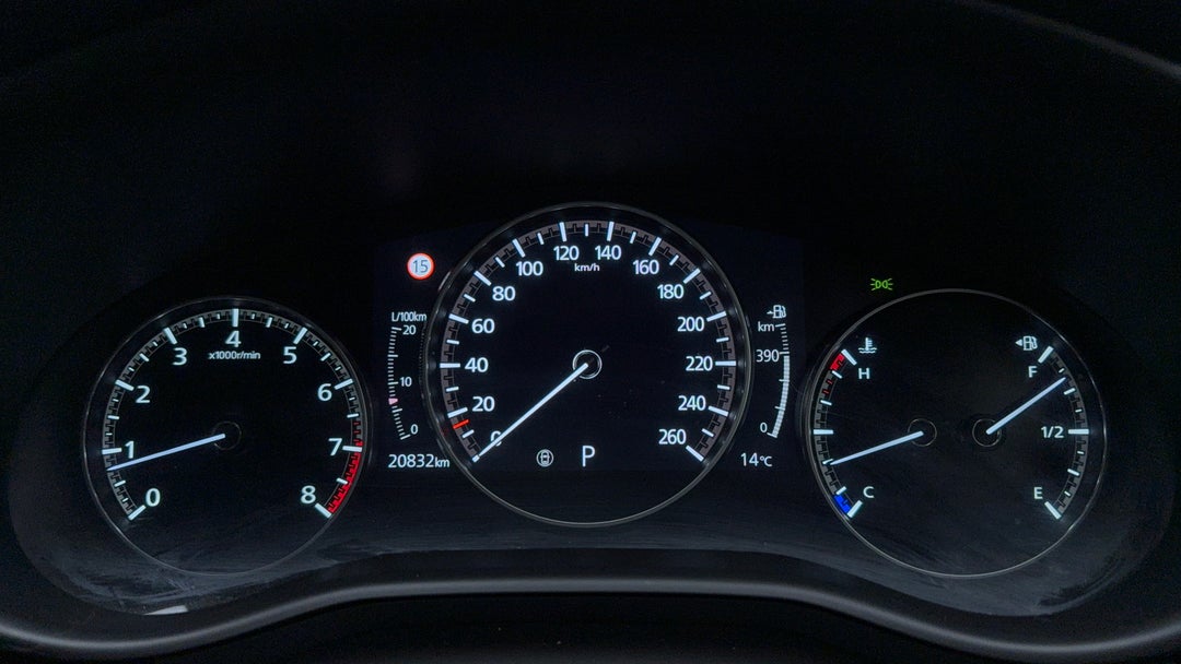 Odometer View