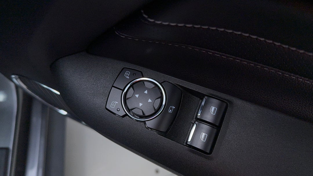 Drivers Side Door Panel Controls