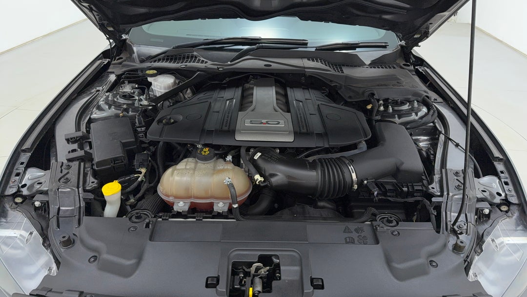 Open Bonnet (Engine)