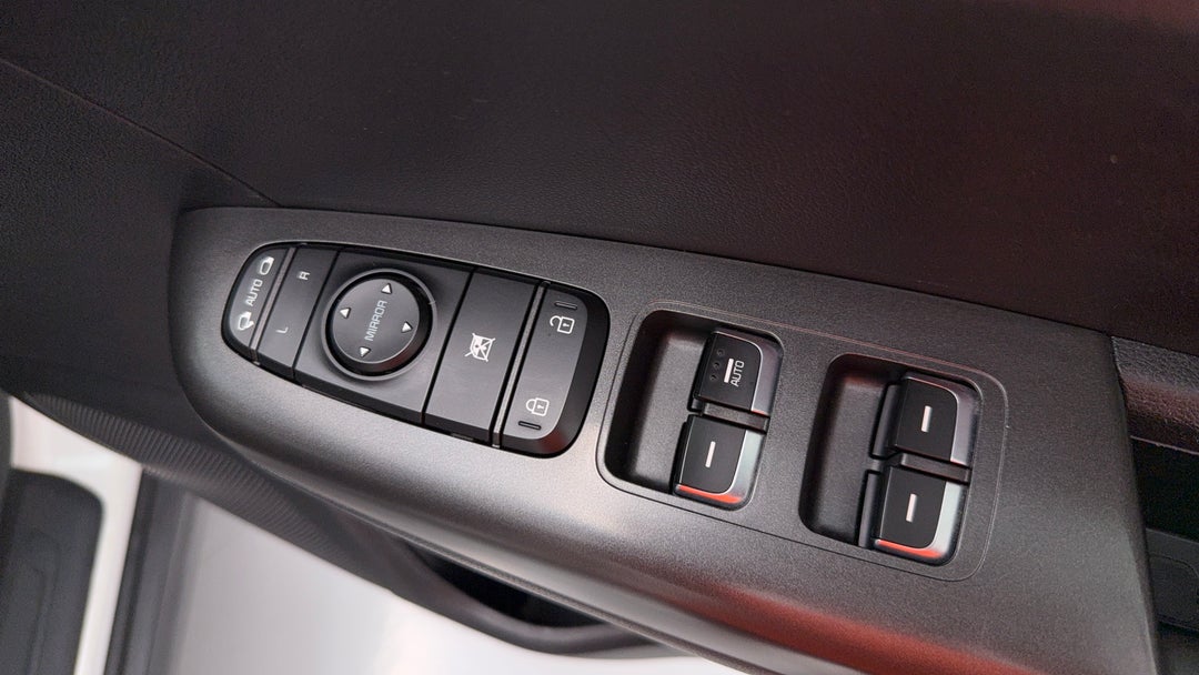 Drivers Side Door Panel Controls