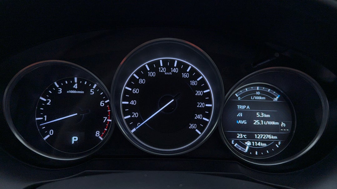 Odometer View
