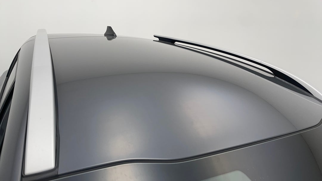 Roof/Sunroof View