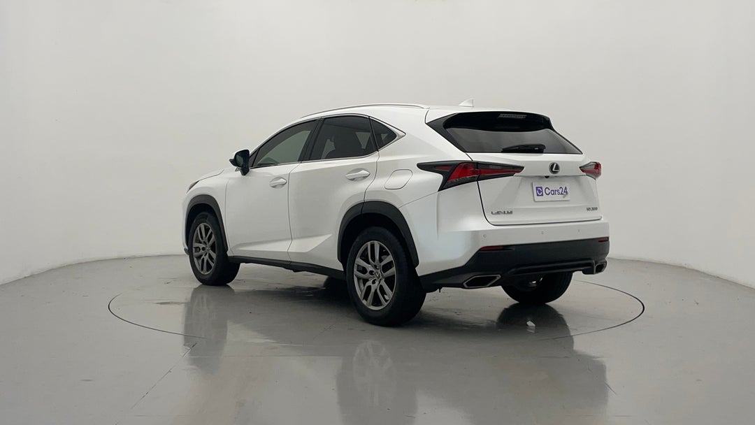 Left Back Diagonal (45- Degree) View