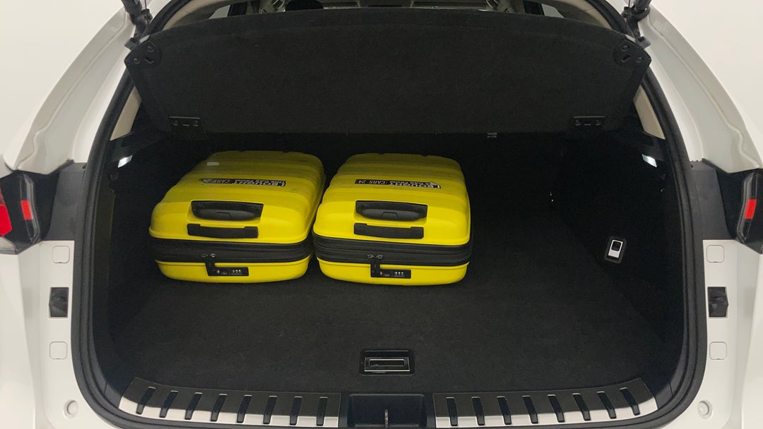 Boot Inside View with Luggage