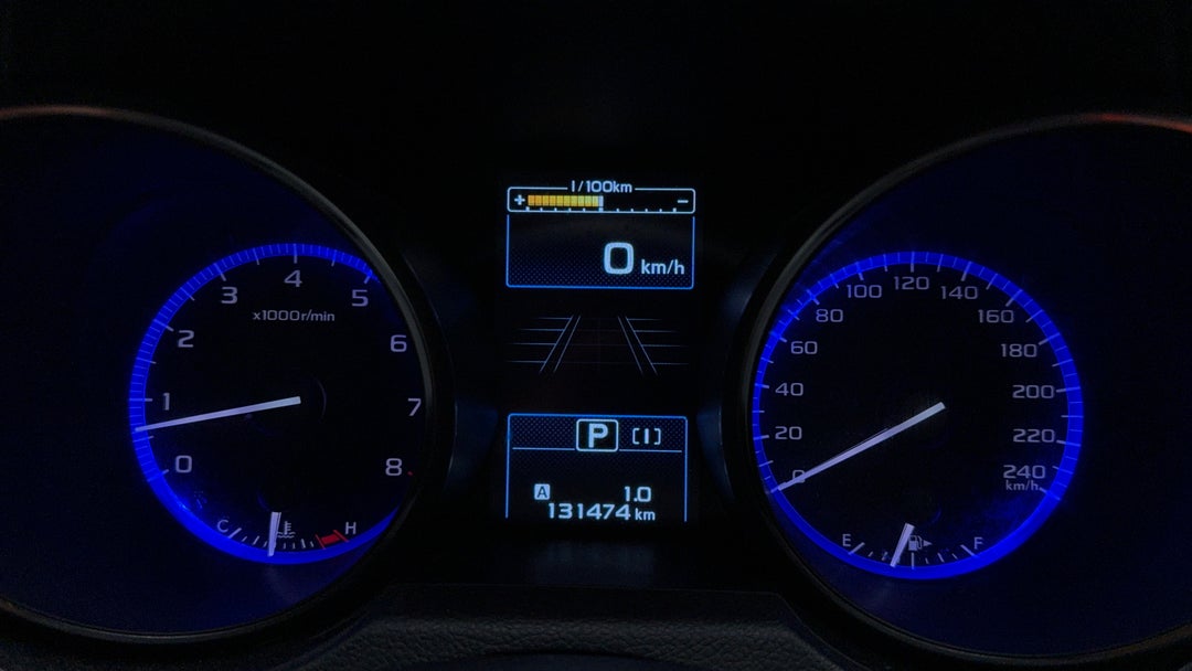 Odometer View