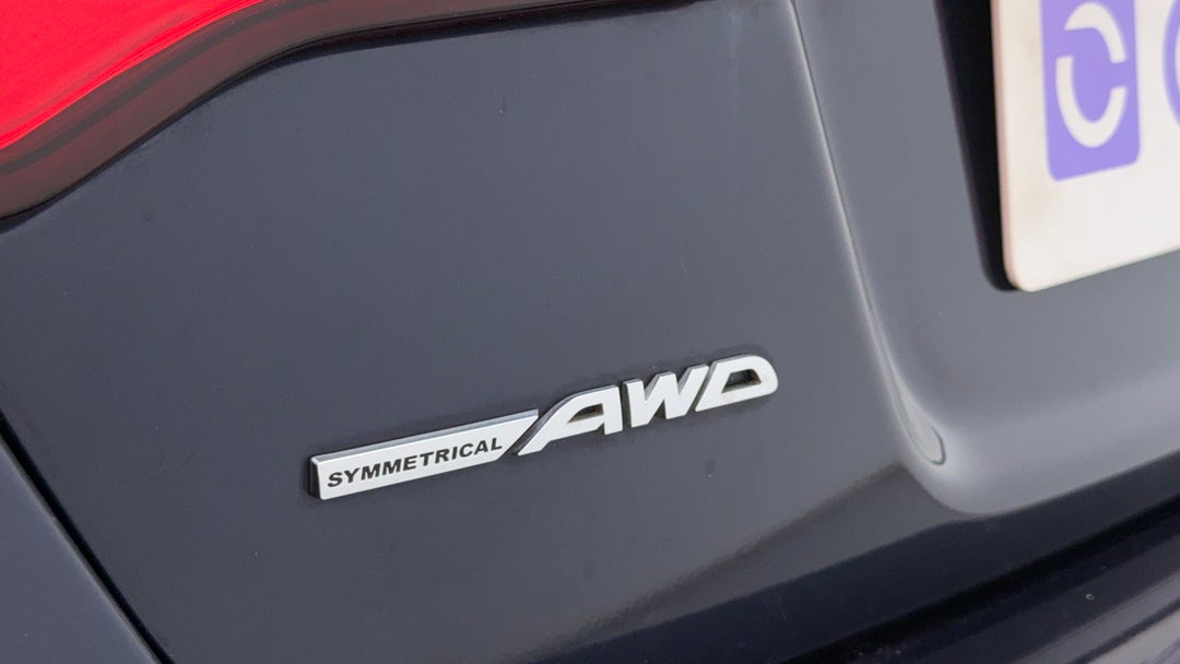 Badge (Boot Left Side)