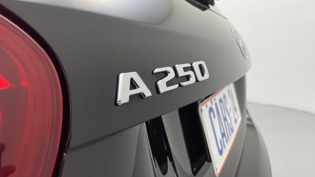 Badge (Boot Left Side)