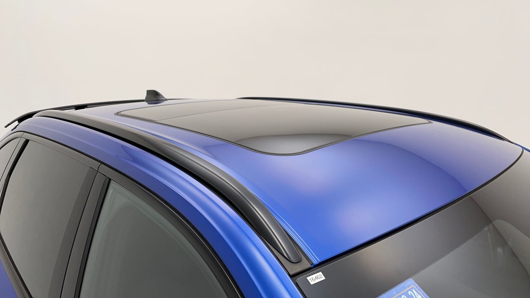 Roof/Sunroof View