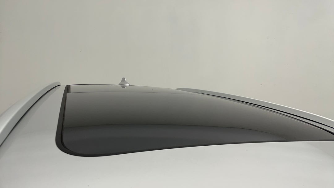 Roof/Sunroof View