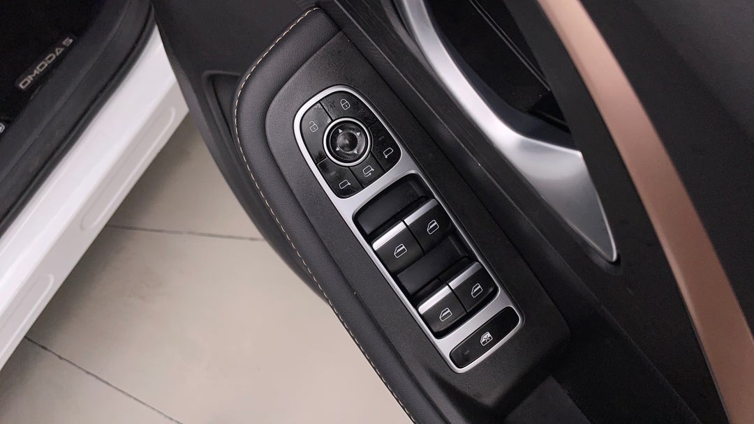 Drivers Side Door Panel Controls