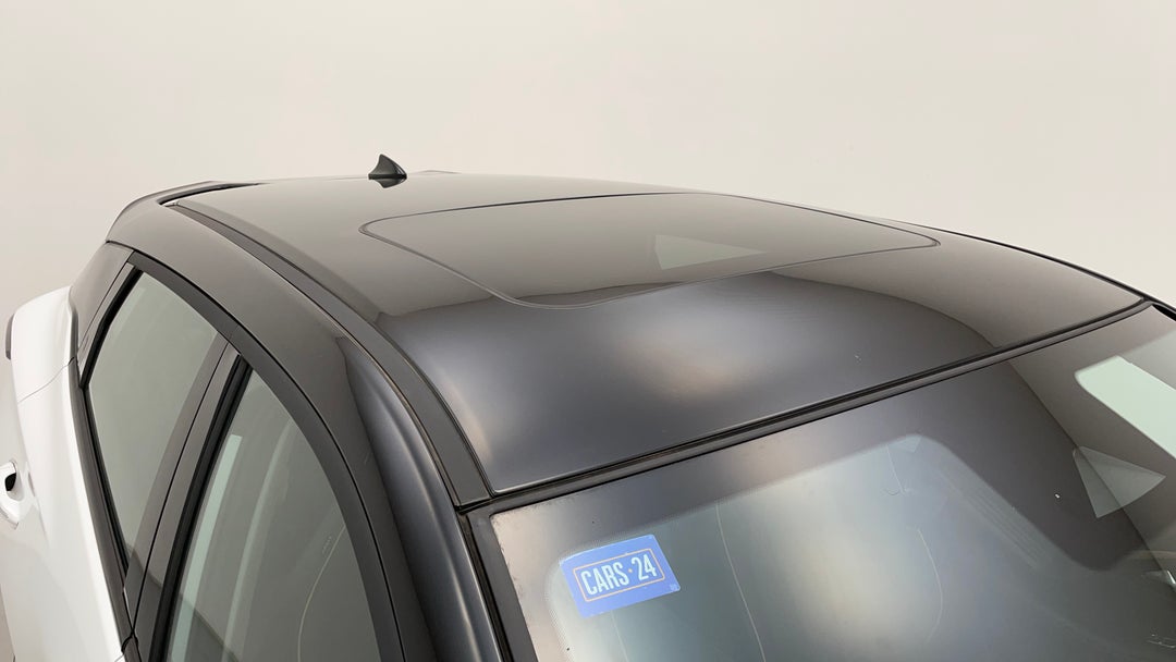 Roof/Sunroof View